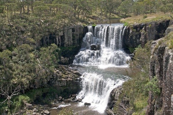 AustraliaEast 10  052